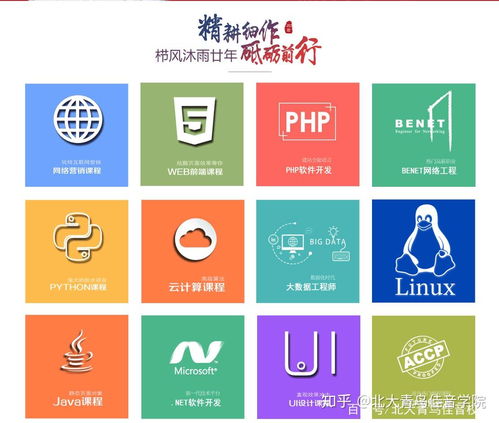 北大青鳥基礎軟件服務專業(yè)詳解及學費參考