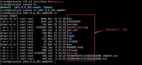 Linux系列（六） 手動命令安裝軟件與服務器基本環境搭建